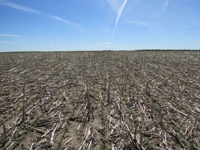 SOLD! $2450 per Acre. Land near Holabird, SD. - image 9