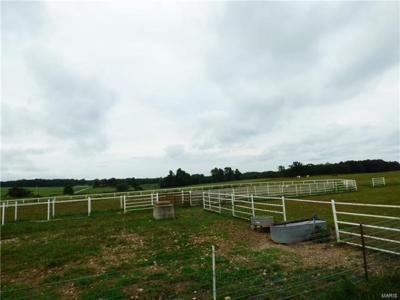Dallas Co MO farm - rotational grazing - water - no zoning - image 29