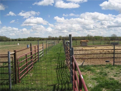 Dallas Co MO farm - rotational grazing - water - no zoning - image 4