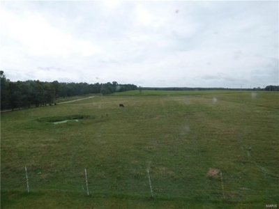 Dallas Co MO farm - rotational grazing - water - no zoning - image 26