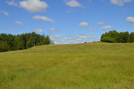 Online Only Door County Wisconsin Land Auction - image 6