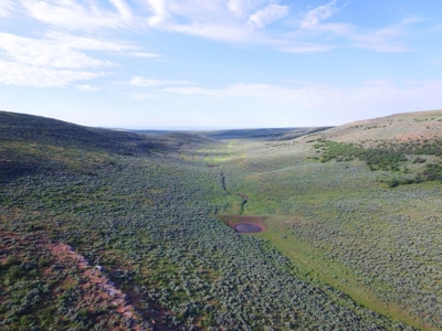 Colorado Trophy Elk Hunting Ranch At Absolute Auction! - image 25