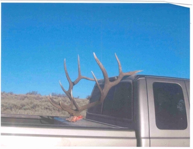 Colorado Trophy Elk Hunting Ranch At Absolute Auction! - image 6