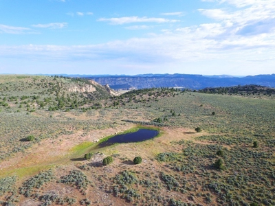 Colorado Trophy Elk Hunting Ranch At Absolute Auction! - image 15
