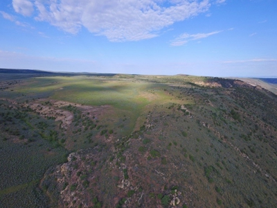 Colorado Trophy Elk Hunting Ranch At Absolute Auction! - image 20