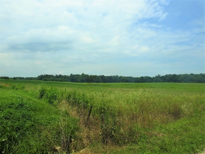 Alsman Real Estate Auction - image 16