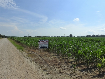 Alsman Real Estate Auction - image 36