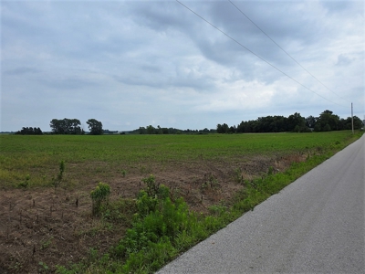 Alsman Real Estate Auction - image 29