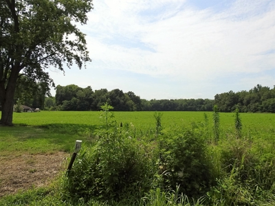 Alsman Real Estate Auction - image 10
