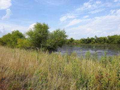 Alsman Real Estate Auction - image 38