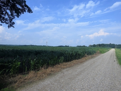 Alsman Real Estate Auction - image 34