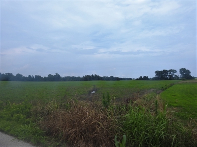 Alsman Real Estate Auction - image 26