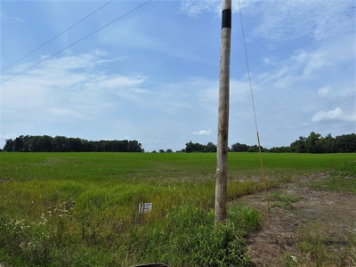 Alsman Real Estate Auction - image 19