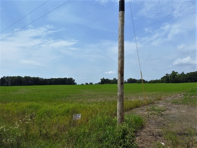 Alsman Real Estate Auction - image 21