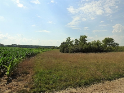 Alsman Real Estate Auction - image 35