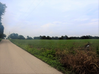 Alsman Real Estate Auction - image 27