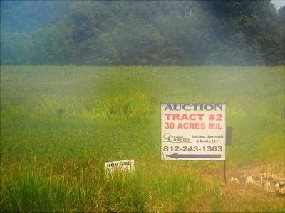 Alsman Real Estate Auction - image 15