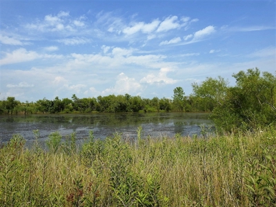Alsman Real Estate Auction - image 37
