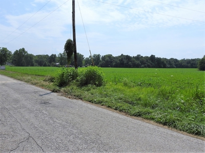 Alsman Real Estate Auction - image 6