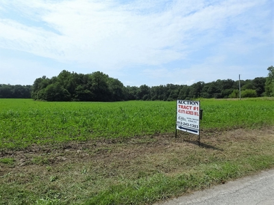 Alsman Real Estate Auction - image 4
