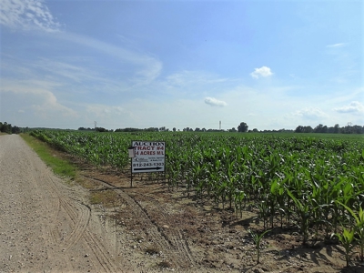 Alsman Real Estate Auction - image 32