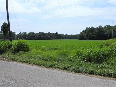 Alsman Real Estate Auction - image 5