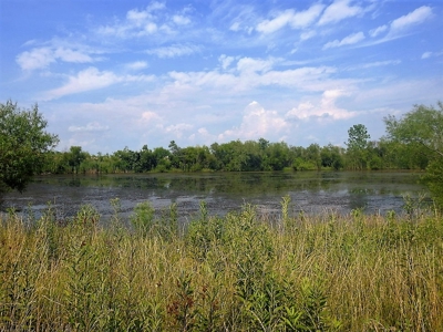Alsman Real Estate Auction - image 39
