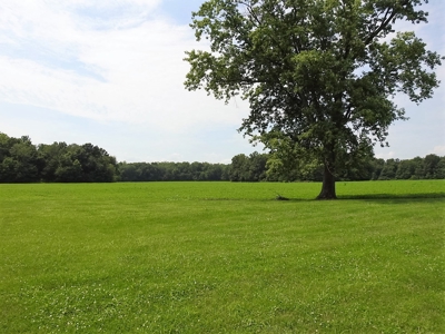 Alsman Real Estate Auction - image 9