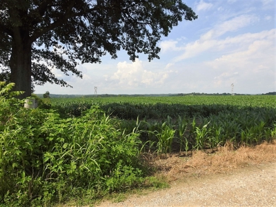 Alsman Real Estate Auction - image 33
