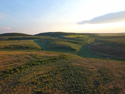 Colorado Trophy Elk Hunting Ranch At Absolute Auction! - image 34