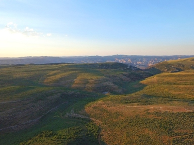 Colorado Trophy Elk Hunting Ranch At Absolute Auction! - image 30
