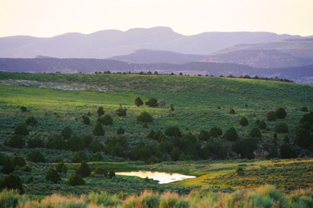 Colorado Trophy Elk Hunting Ranch At Absolute Auction! - image 1