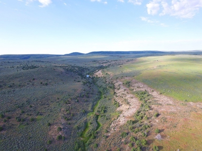 Colorado Trophy Elk Hunting Ranch At Absolute Auction! - image 19
