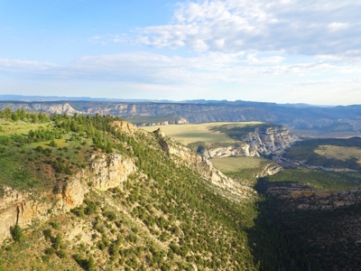 Colorado Trophy Elk Hunting Ranch At Absolute Auction! - image 9
