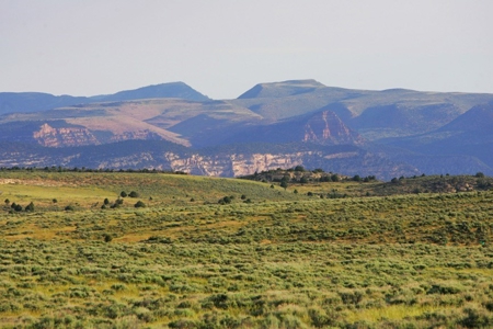 Colorado Trophy Elk Hunting Ranch At Absolute Auction! - image 18