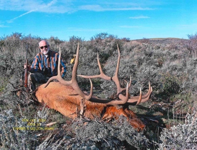 Colorado Trophy Elk Hunting Ranch At Absolute Auction! - image 2