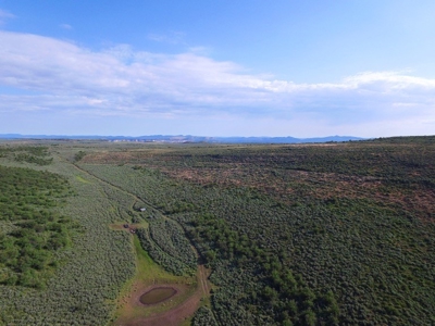 Colorado Trophy Elk Hunting Ranch At Absolute Auction! - image 25