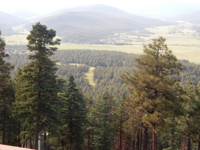 Auction- Spectacular Mountain Home & Homesite Lots - image 6