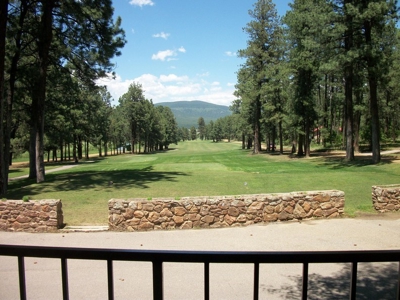 Auction- Spectacular Mountain Home & Homesite Lots - image 14