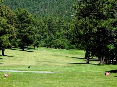 Auction- Spectacular Mountain Home & Homesite Lots - image 10