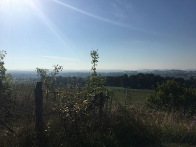 Absolute Auction 2 homes and 15+/- acres for sale - image 32