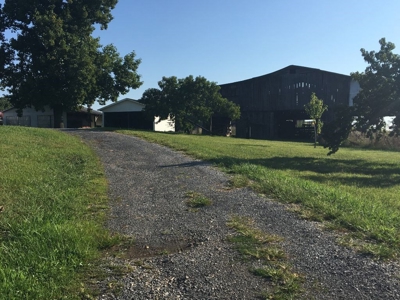 Absolute Auction 2 homes and 15+/- acres for sale - image 37