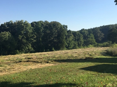 Absolute Auction 2 homes and 15+/- acres for sale - image 27
