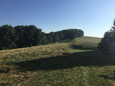Absolute Auction 2 homes and 15+/- acres for sale - image 30
