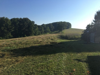 Absolute Auction 2 homes and 15+/- acres for sale - image 29