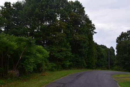 Country Home with Acreage for Sale at Auction in VA! - image 26