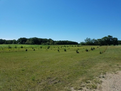 Rural Country Home ABSOLUTE REAL ESTATE  AUCTION - image 49