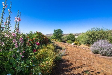 Az Ranch Auction Equine Oasis On 83 Acres - image 6