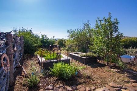 Az Ranch Auction Equine Oasis On 83 Acres - image 5