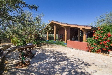 Az Ranch Auction Equine Oasis On 83 Acres - image 37